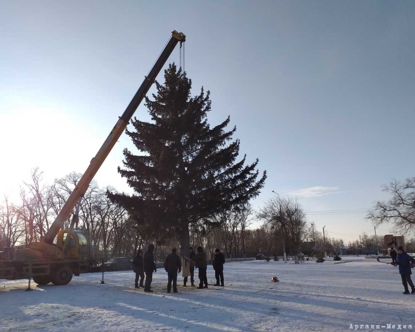 Она приехала! В Аргаяш прибыла главная районная елка