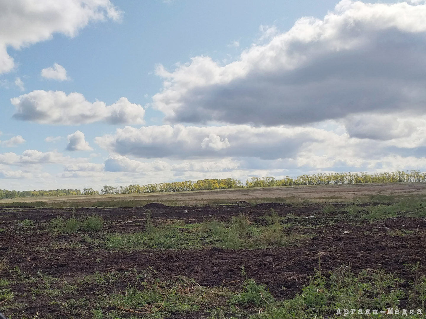 18 млн оплатил «Уралбройлер», возмещая ущерб природе