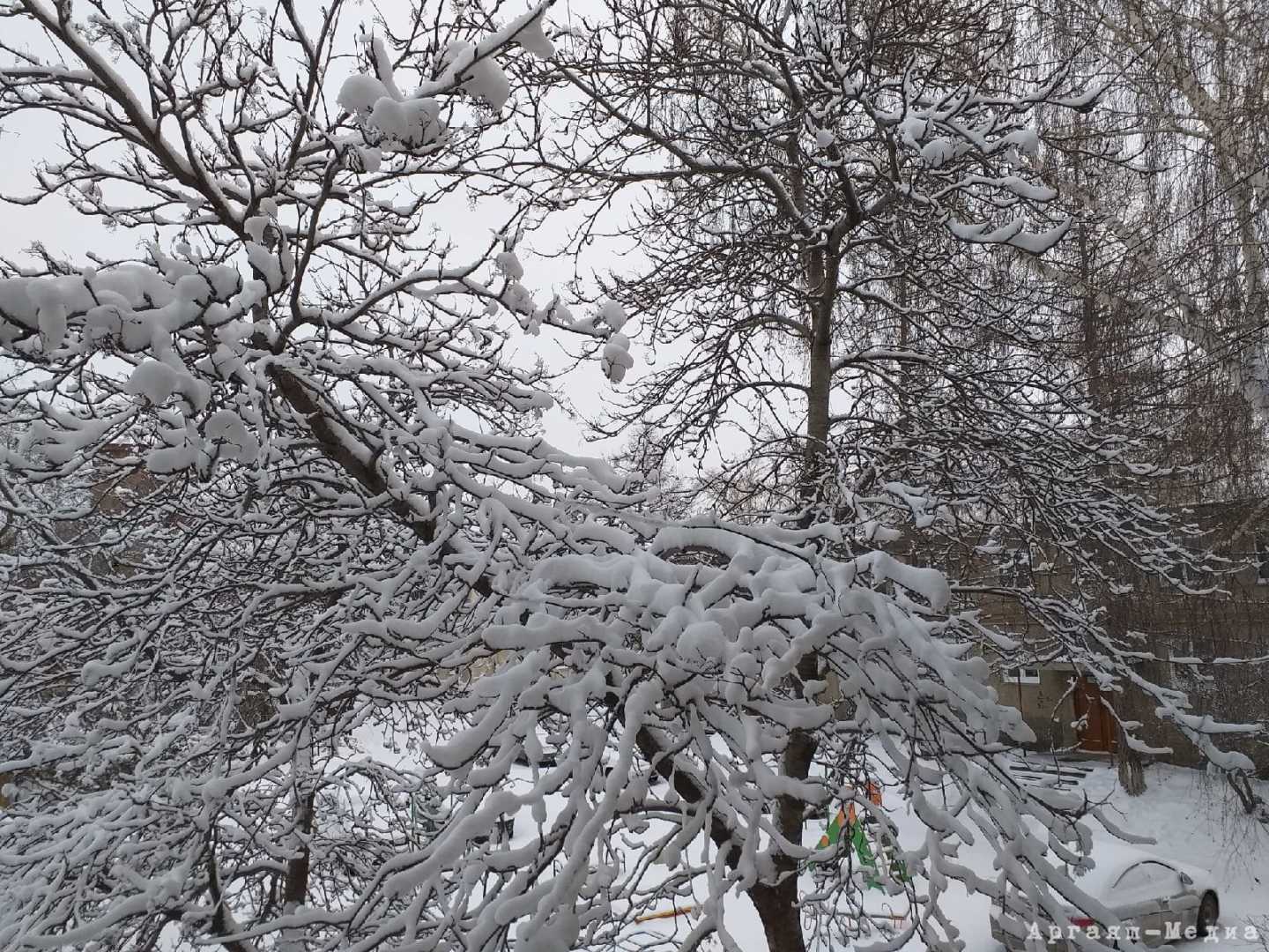 На  смену неожиданному для февраля дождю пришел снежный фронт