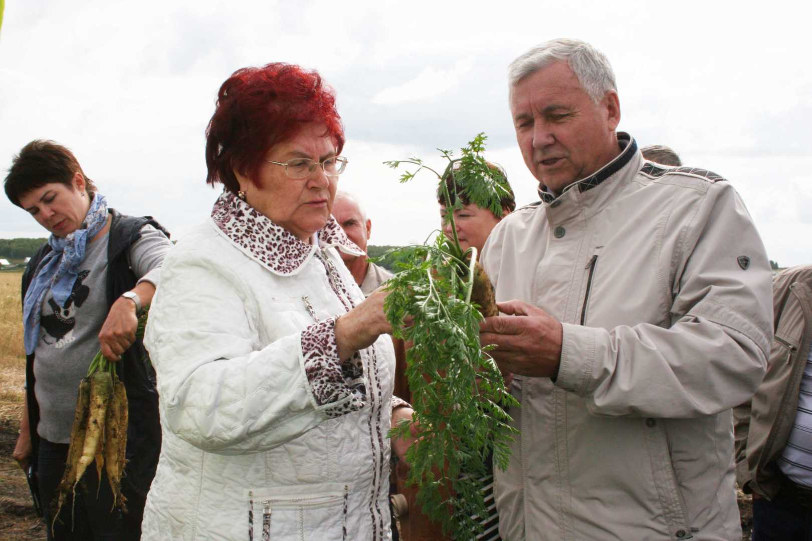 Урожай будет.  Дело за ценами